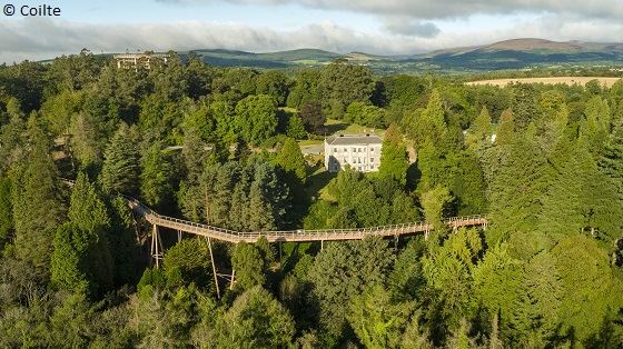 Ierland-Avondale_House_and_Forest_Park_Beyond_the_Trees_Co_Wicklow.jpg